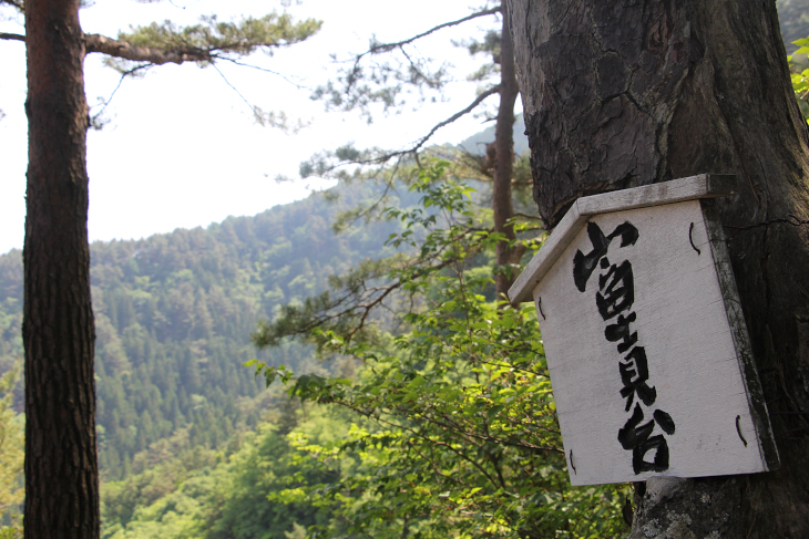 本来ならば富士山も写る画角なのだが、モヤで映らない