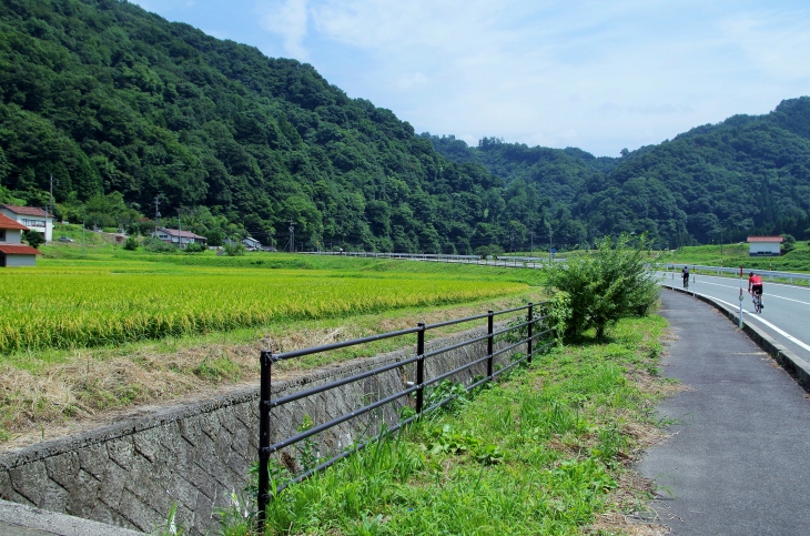 きらきらと輝く稲穂と日本家屋が覗く景色が美しい