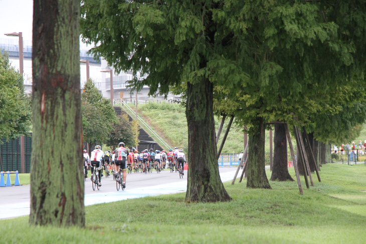 緑が多い公園内を集団は行く