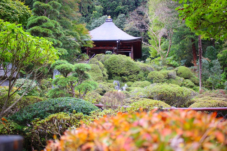 秩父札所随一という浄土庭園は様々な草花が隙間なく植えられ、京都の寺院のような美しい光景が広がっています