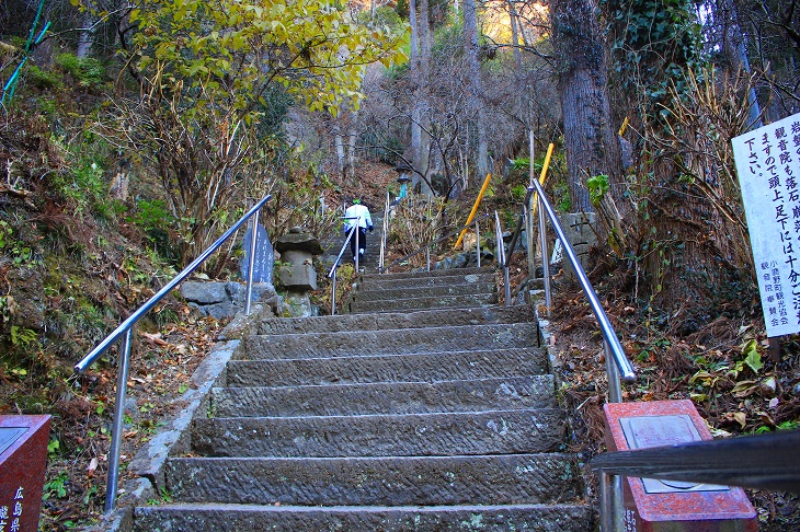日本のお寺らしい風情ある石段が始まります