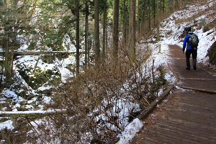 払沢の滝までは整備された遊歩道が続いている