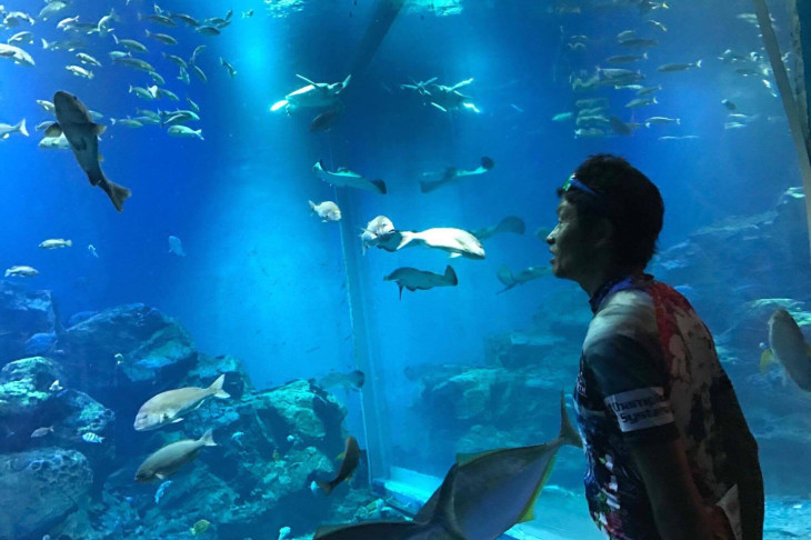 人気エイドの一つである男鹿水族館GAO