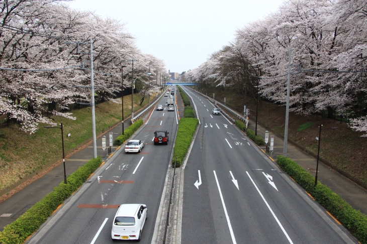 武蔵野公園と野川公園の間を通る東八道路　昔はこのあたりゼロヨンの聖地だったらしい