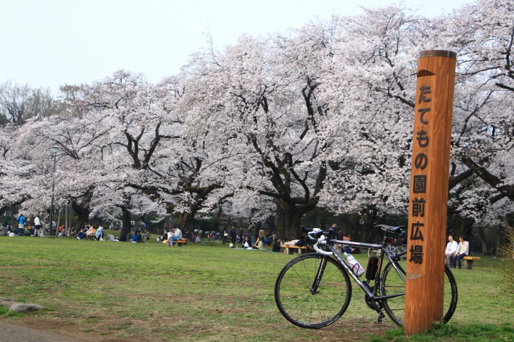 たてもの園前広場は平日なのにたくさんの人出だった