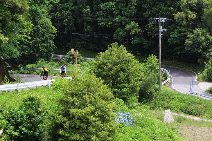 土佐市と佐川町を繋ぐ土佐佐川線の登りへ