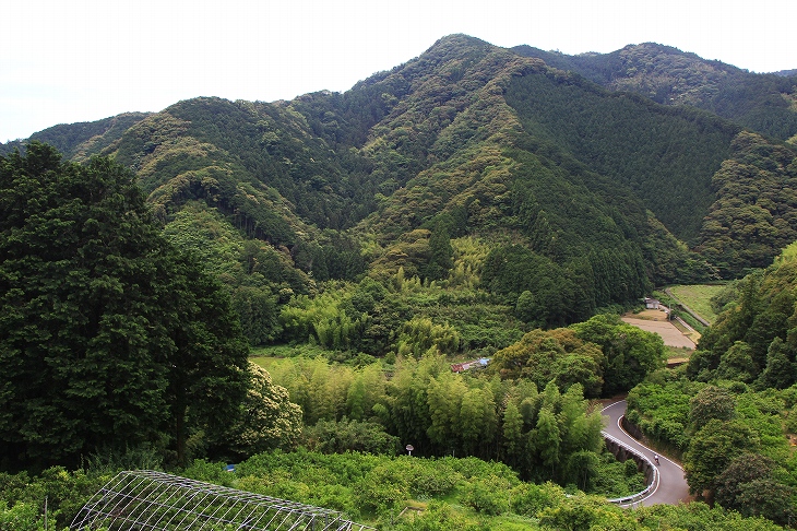 山間のダウンヒルをこなしていきます