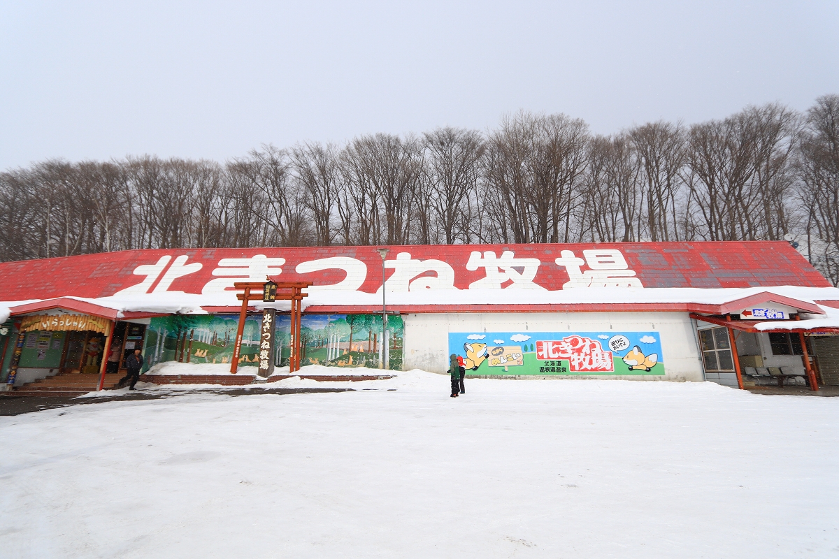 道の駅のお隣にあるキタキツネ牧場へ