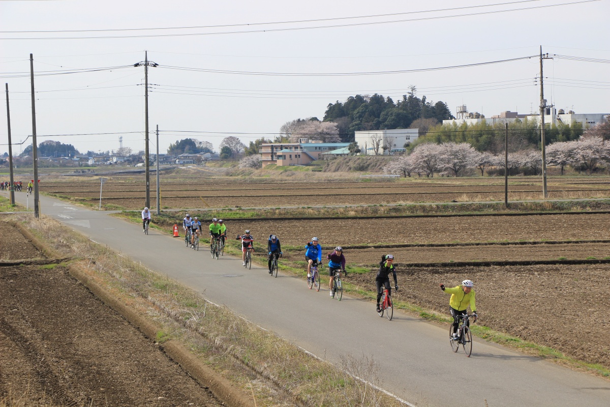 幹線道路から一本入ると、田畑が広がる