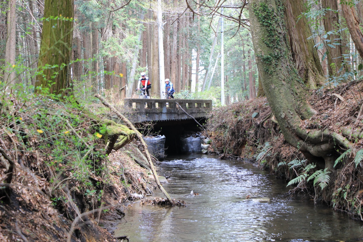 風流な小川の流れ