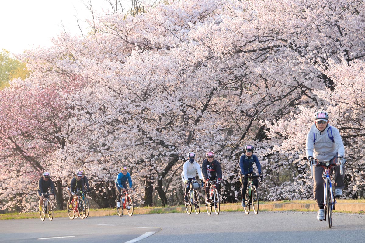 【桜のAACR】残雪の連峰と蒼い空のコントラストの眺めはなんとも言えず美しい