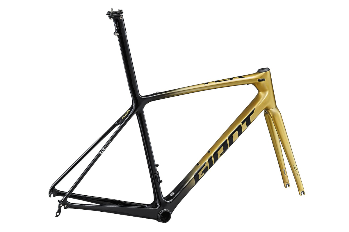 ジャイアント TCR ADVANCED SL GVA FRAME SET