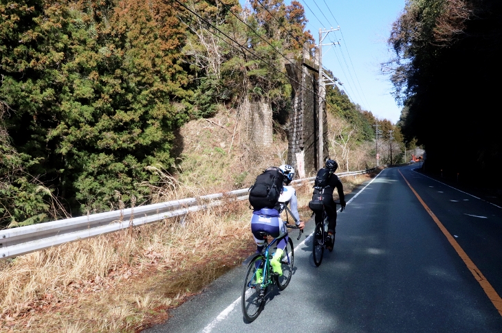 さっそく現れた田口線の橋脚と橋台。アップダウンを避けてできるだけ路盤を平坦を保つように敷かれています