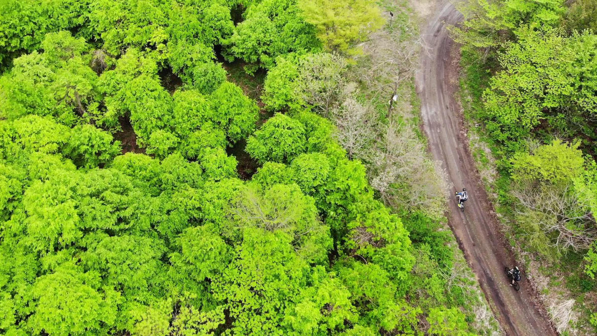 ダートを織り交ぜたコースが設定される