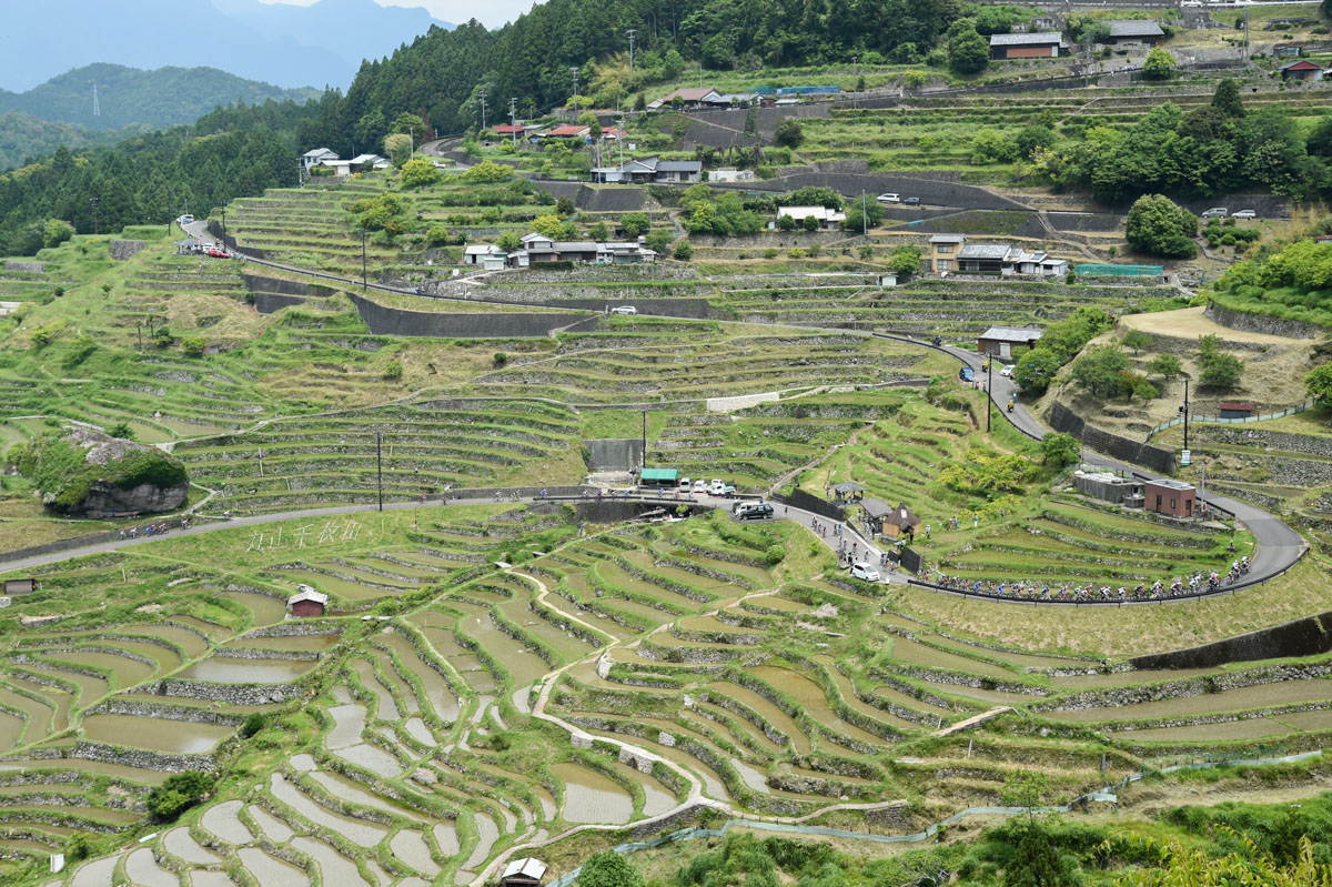 ツール・ド・熊野を象徴する丸山千枚田を通る第2ステージ