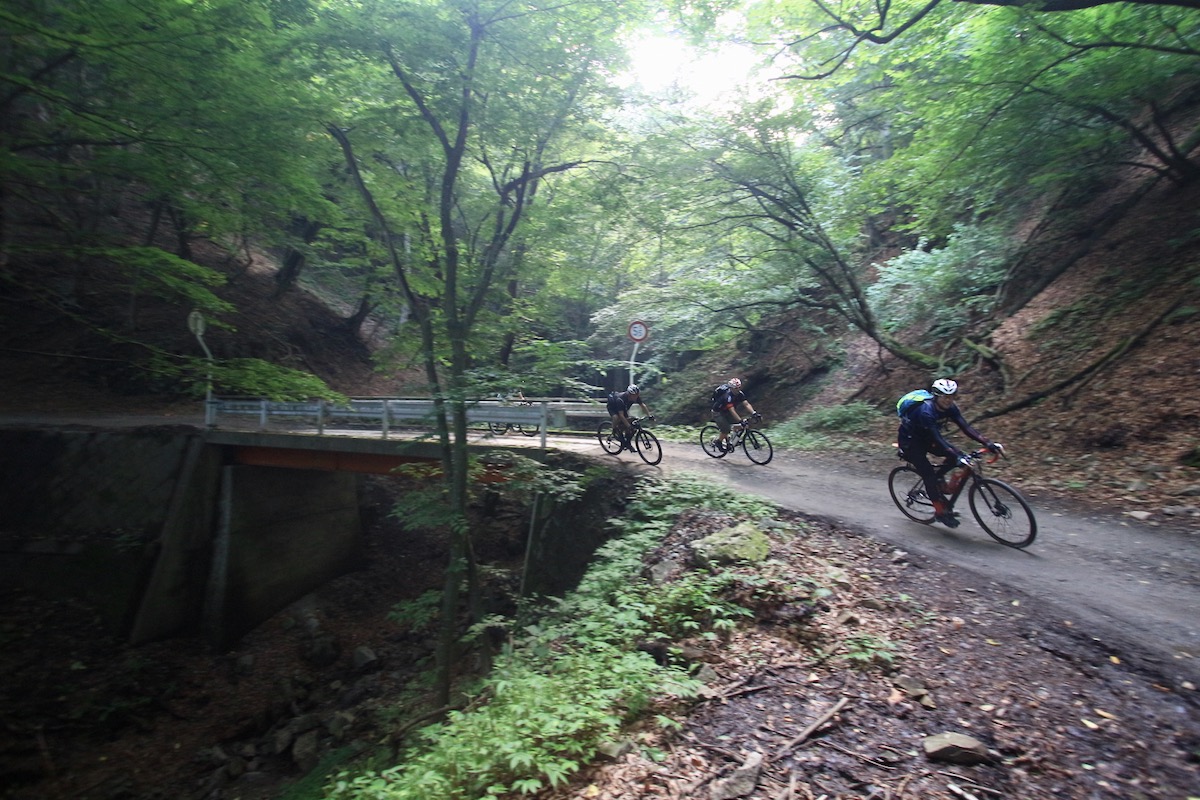 いくつもの沢を超えていく。日陰区間はやや路面も湿っぽい