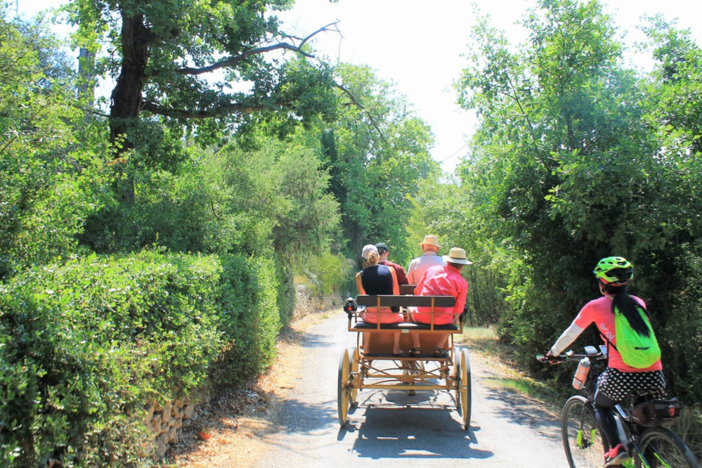 パカパカと軽快に走る馬車に遭遇