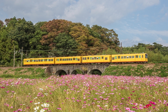 めがね橋をゆく北勢線車両に遭遇。数少ないチャンスをモノにした