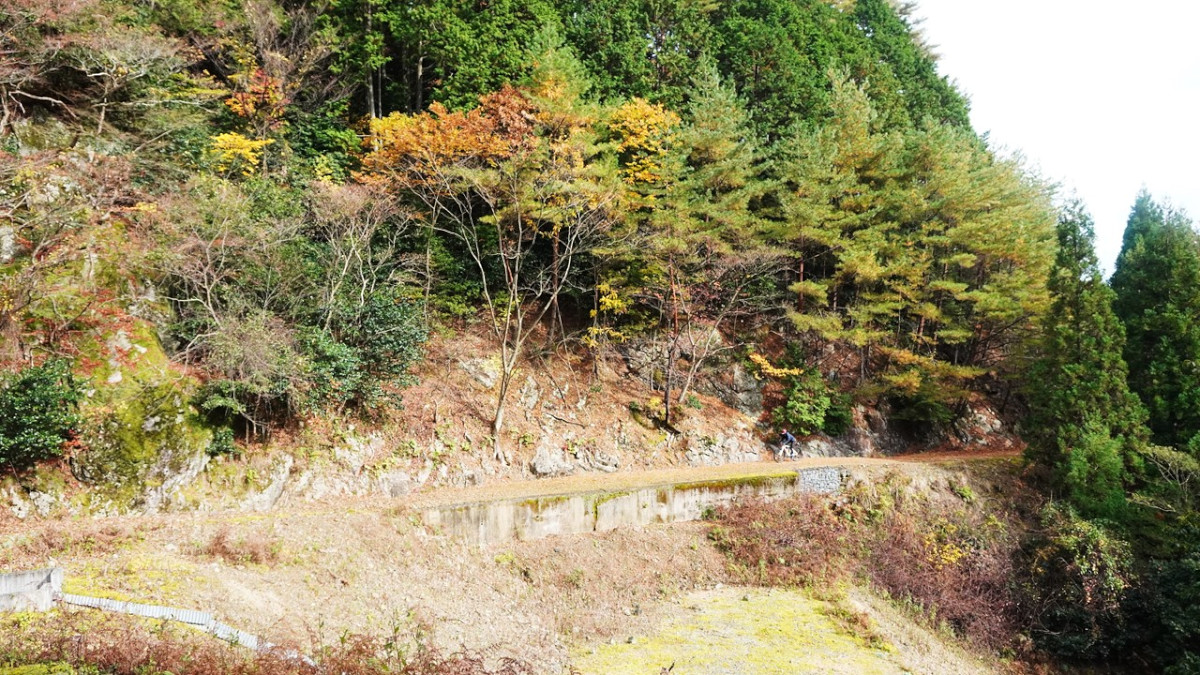 秋の丹波は様々な色の山の景色を楽しめる。