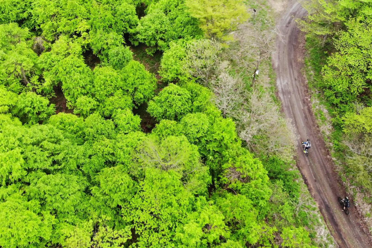 新緑まぶしい6月の宮城を走る