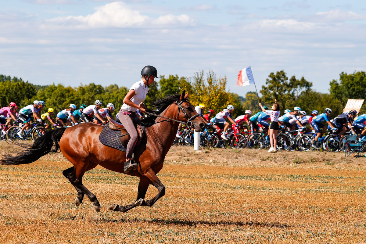 ツール・ド・フランスの集団に合わせて馬も走る