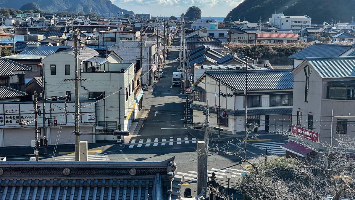 海に向かって開けた美波（旧日和佐）の町並み