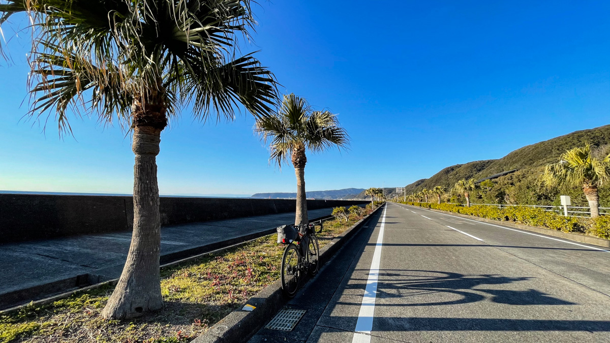 室戸岬あたりの道は南国の風景だ