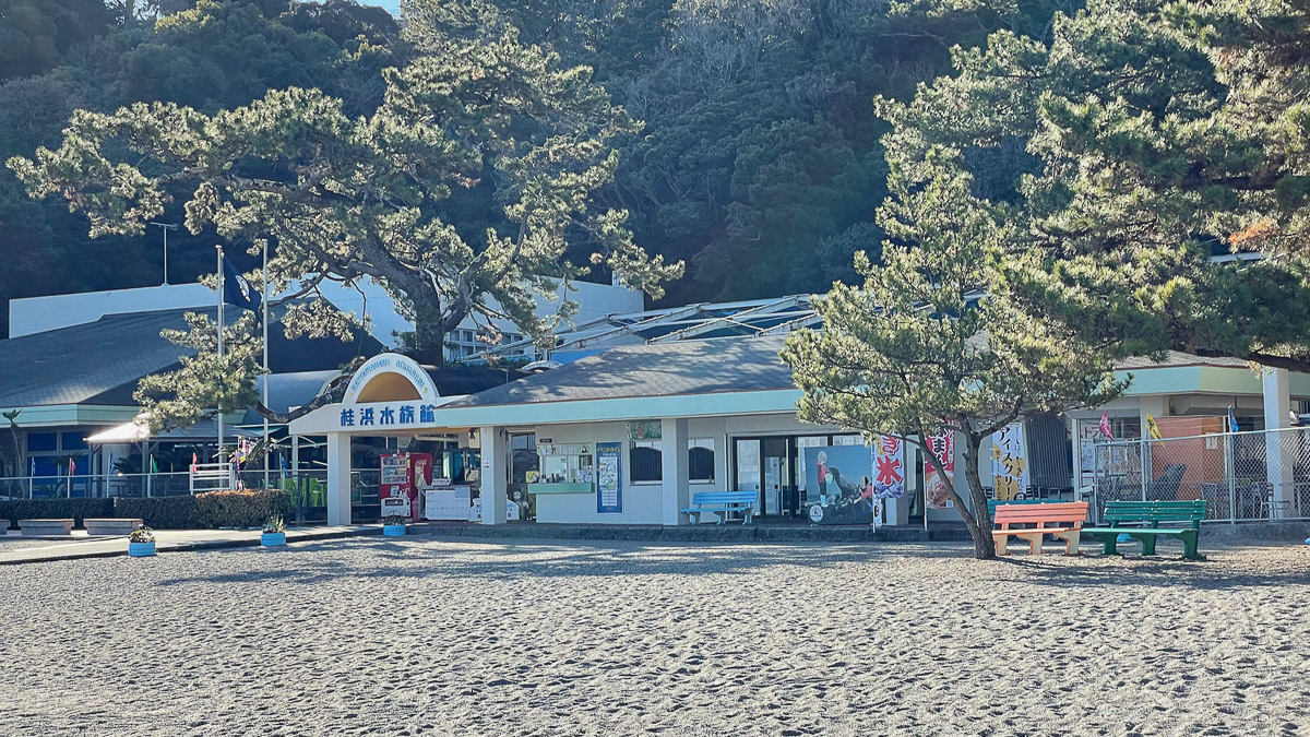 桂浜水族館。魚に直に餌をやったりできる稀な水族館だ