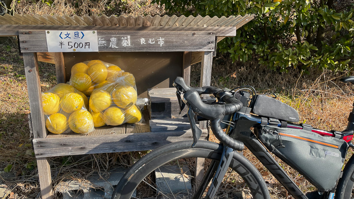 文旦など柑橘の無人販売スタンドがあちこちにあった