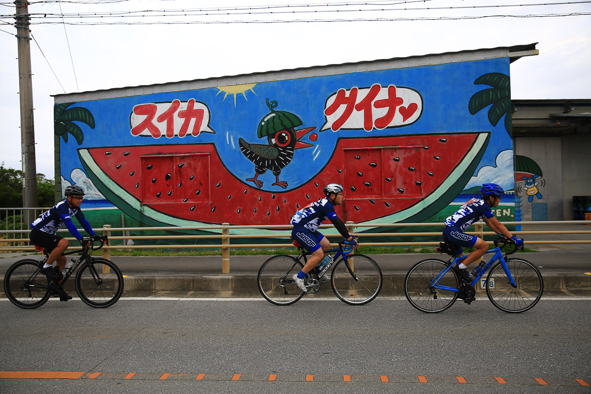 本部半島・今帰仁のスイカ収穫場にはユニークな壁画イラストが