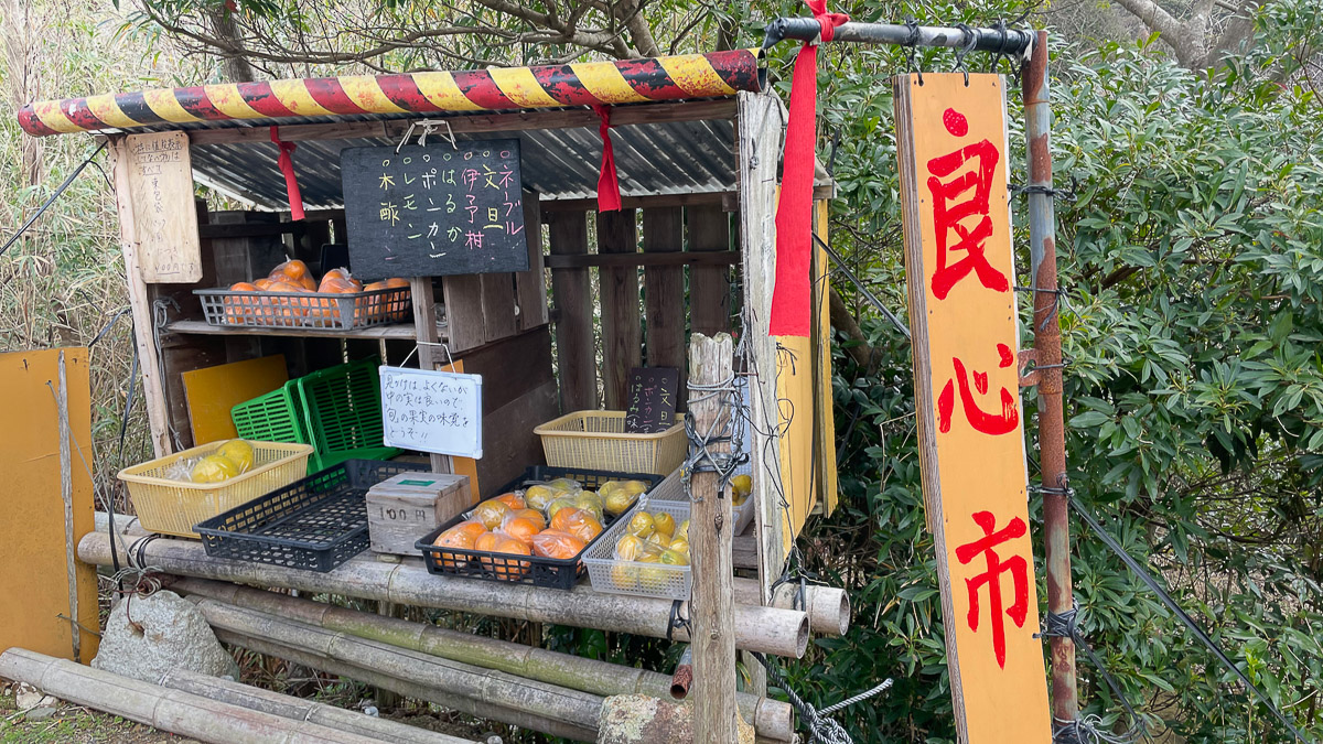 柑橘類の無人販売スタンドがいくつもあった