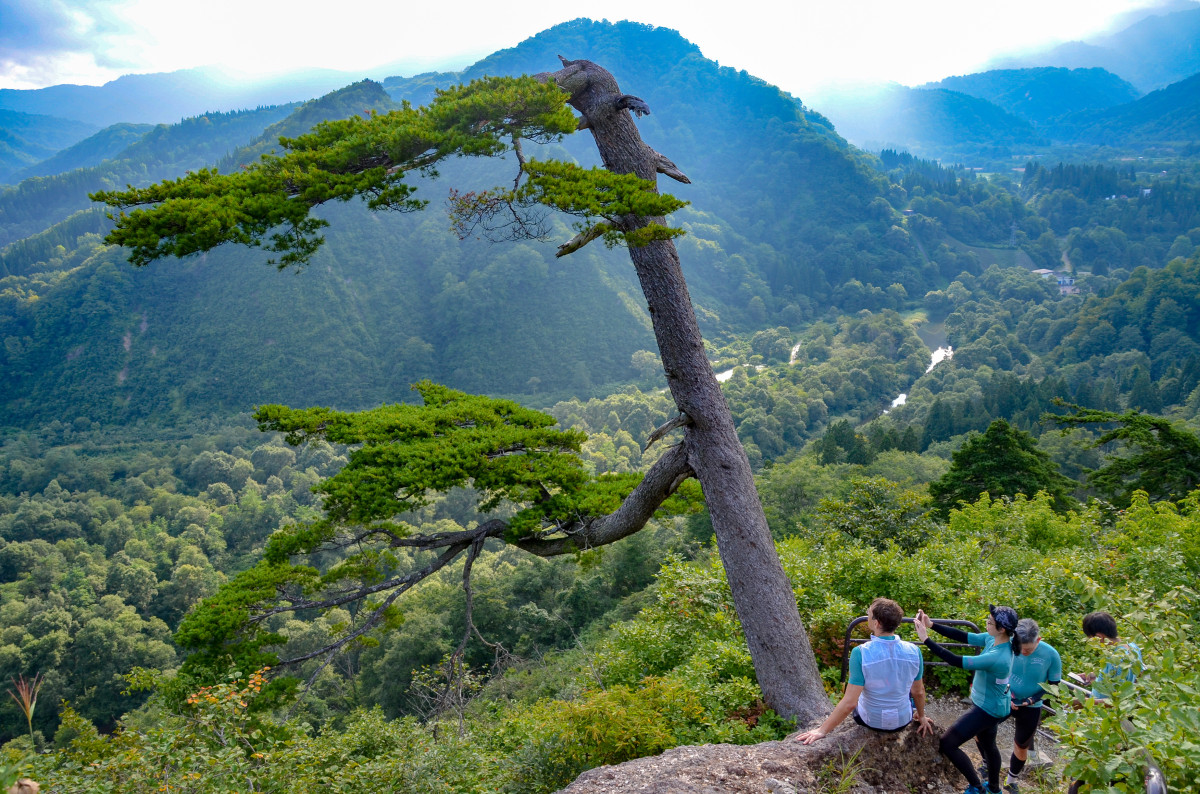 各地域の絶景ポイントを巡っていく