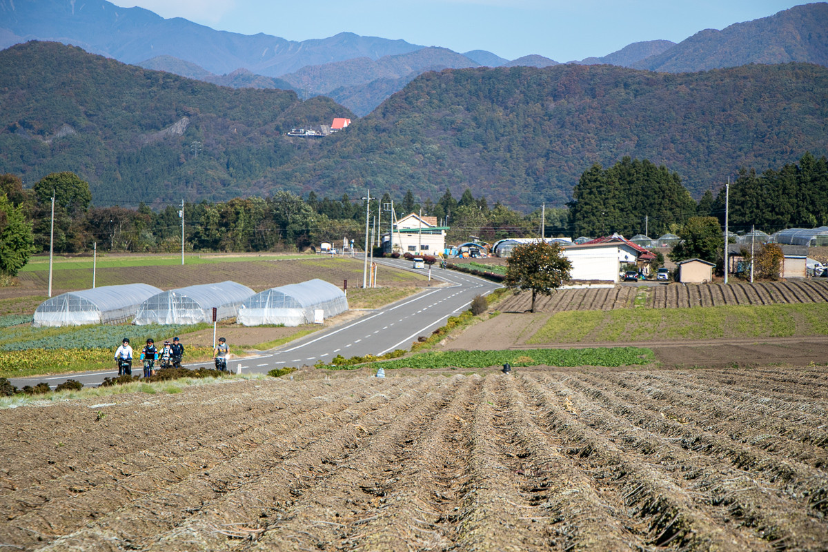 一面に広がるこんにゃく畑を貫く道を行きます