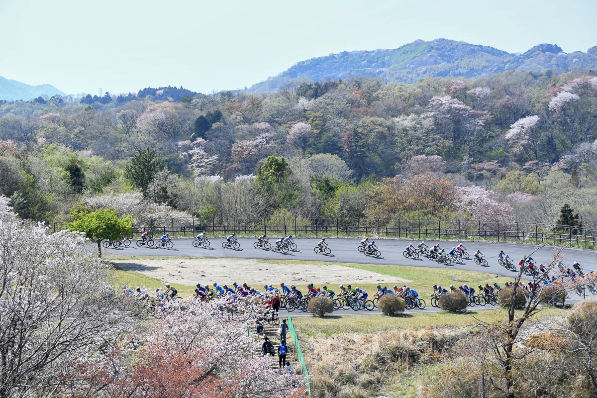 山桜の谷間を流れていく集団