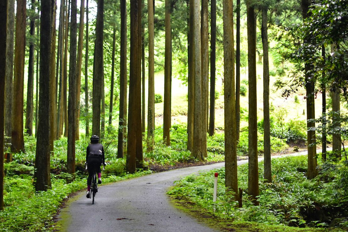 走行距離60km、獲得標高1400ｍほどのヒルクライムサイクリング 