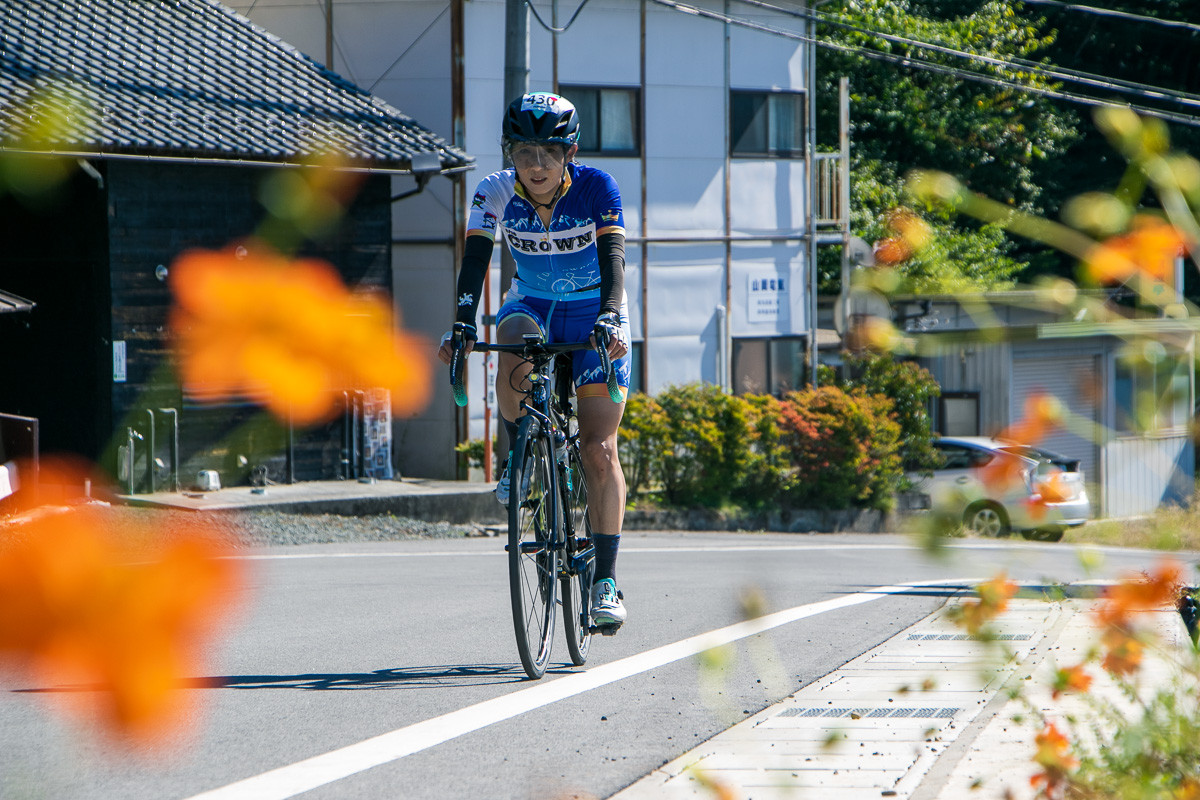 コスモスの咲く道を行く